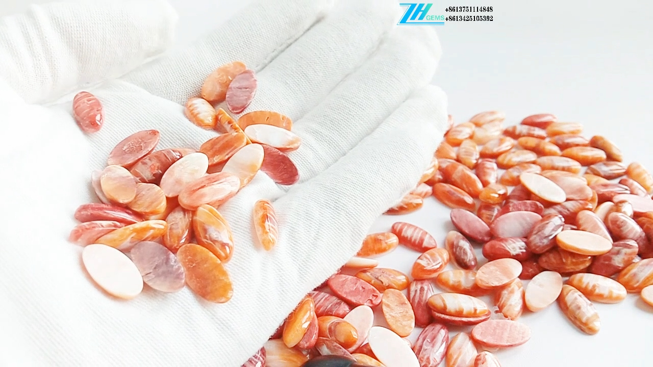 Natural Orange Spiny Oyster Cabochon Allar stærðir í boði 8