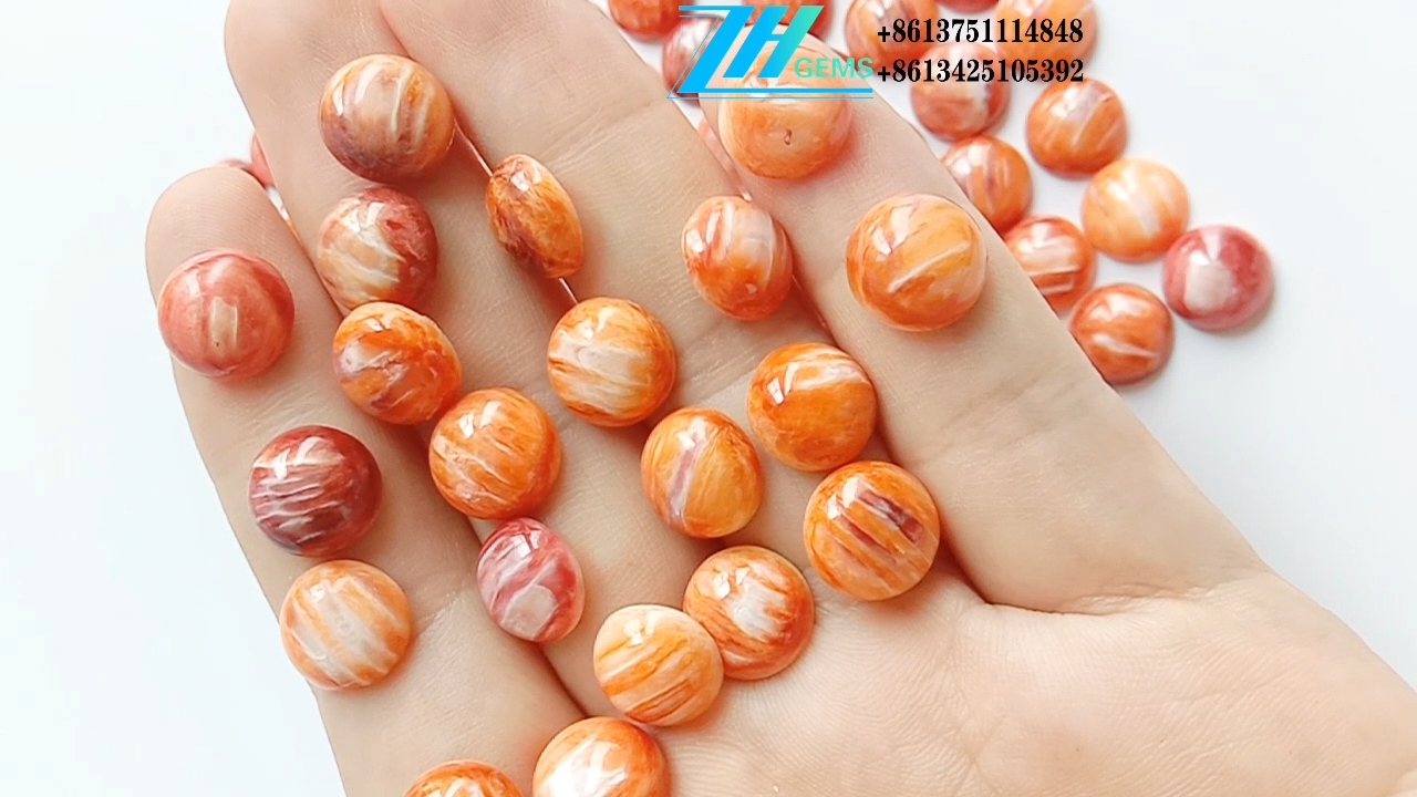 Spiny oyster Cabochon  5-12mm orange Gemstone Naturally 8