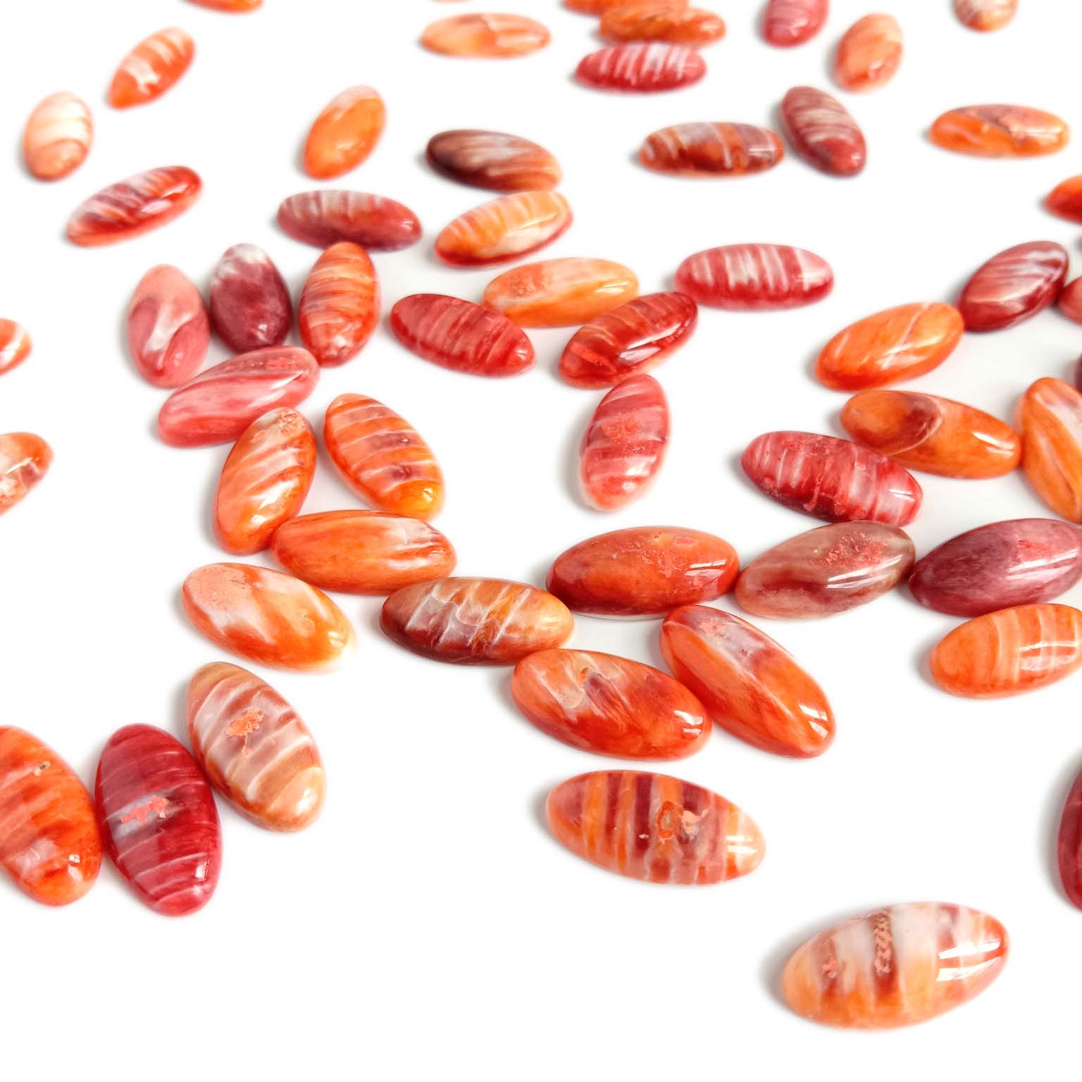 Natura dorna ostro Gemo Kabuŝo dorna ostro faranta juvelojn Lozaj Gemoj 14