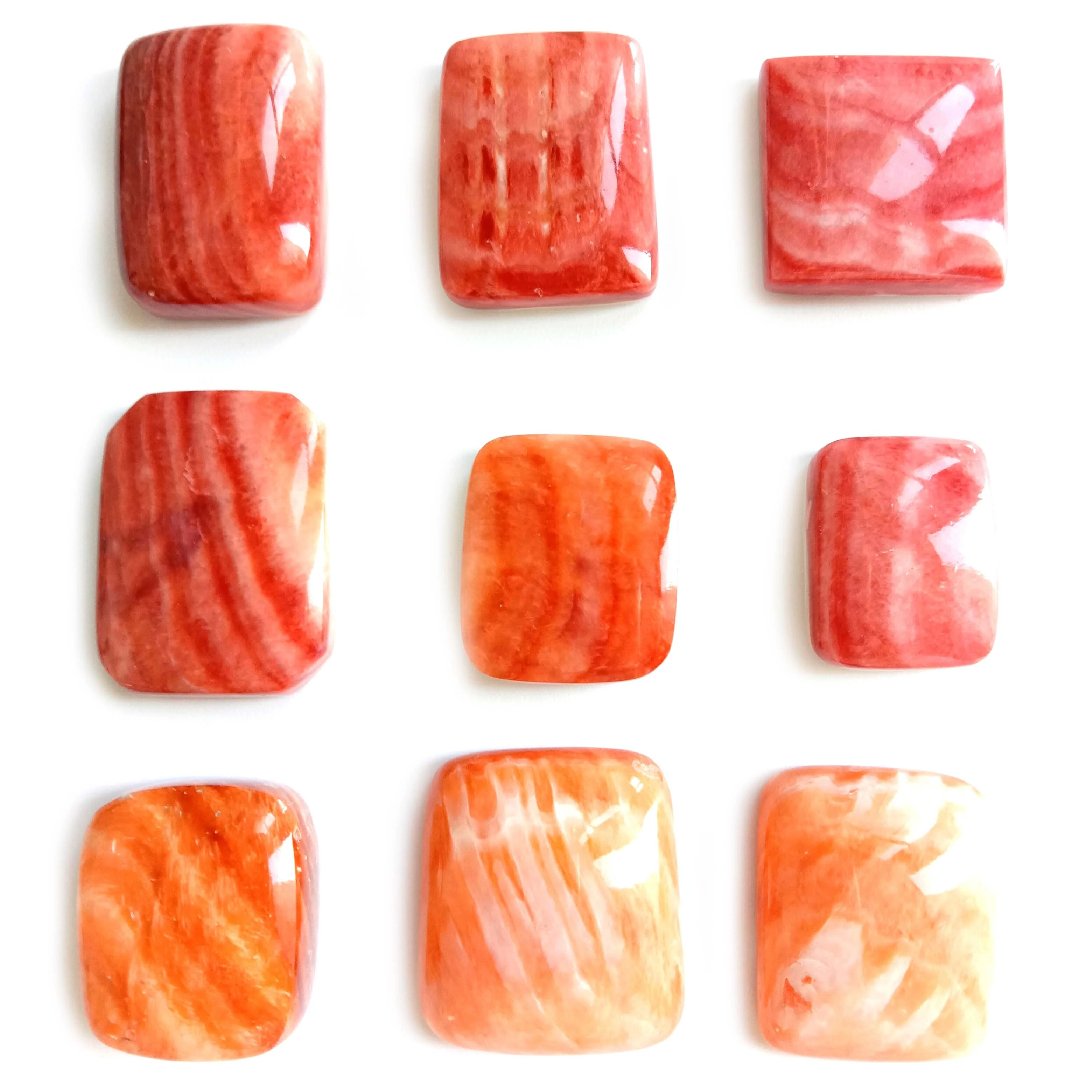 Spiny Oyster Shell High Quality Square Cab Whole pack 1
