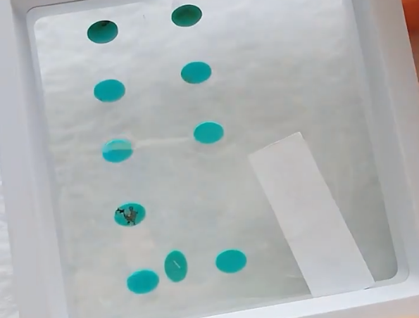 លក់ដុំរាងពងក្រពើពណ៌ខៀវ 5*7mm 9