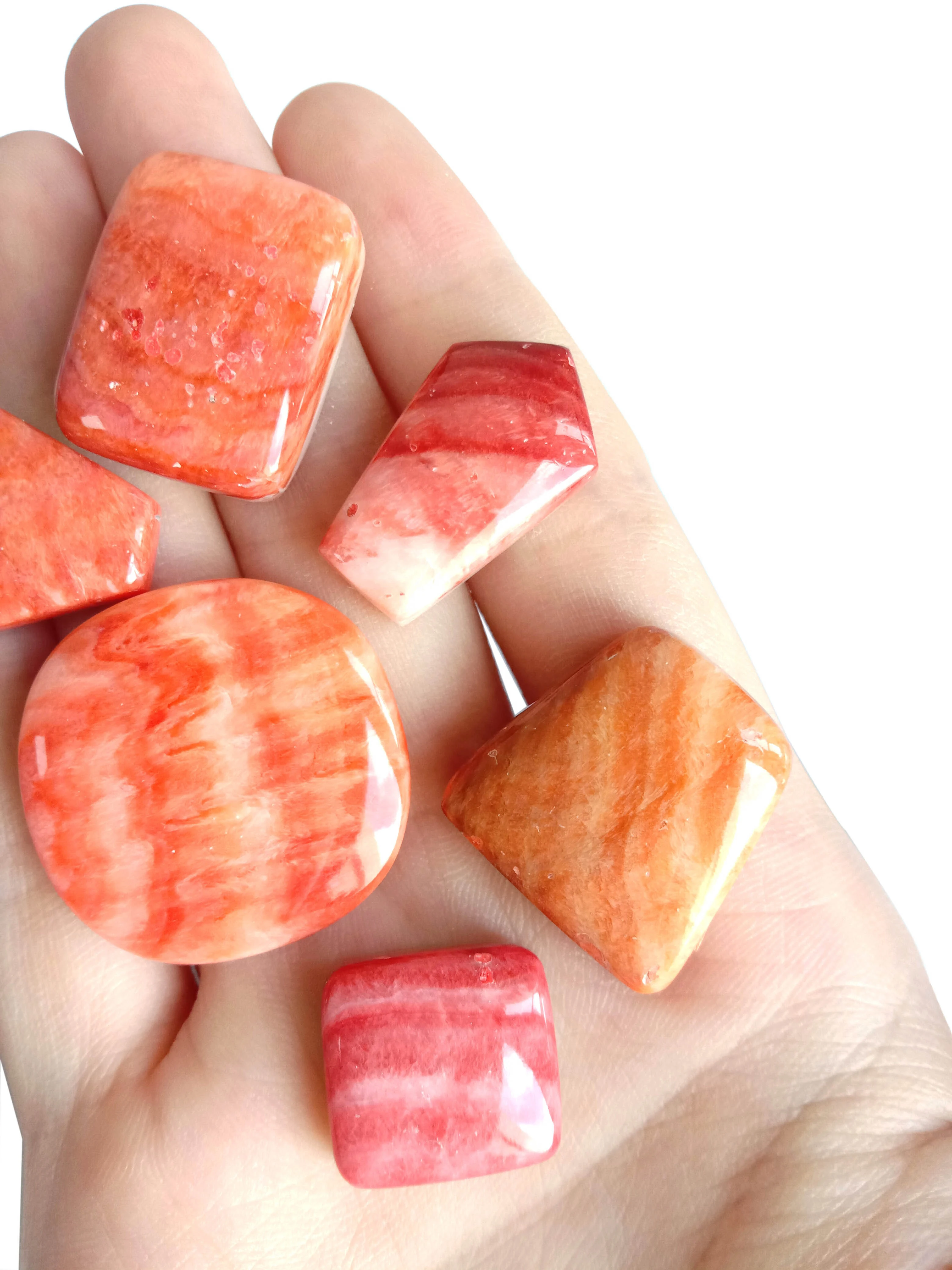 Spiny Oyster Shell Cab Orange Red Pink Cabochon Natural 1