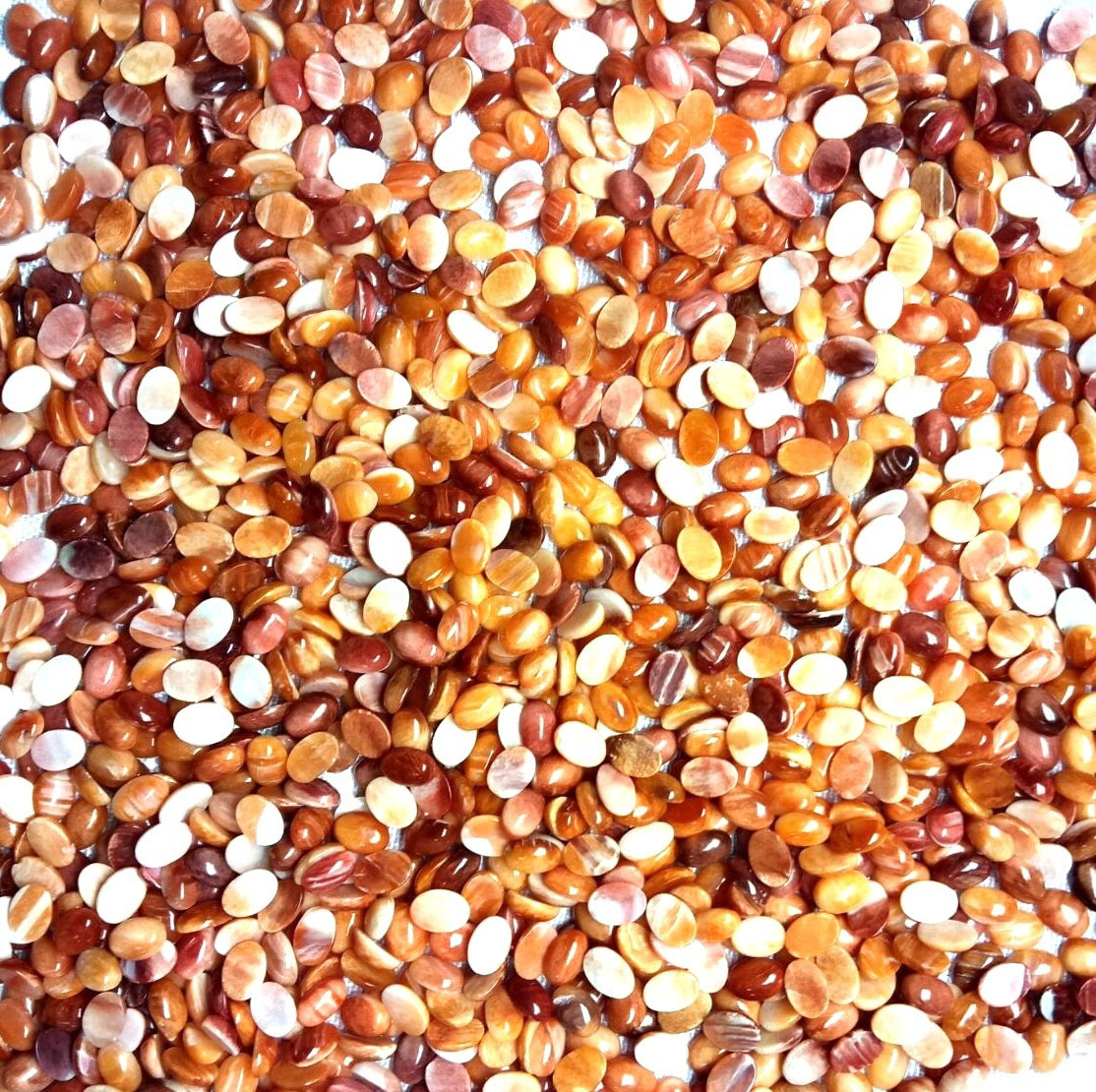 100% Natural High Quality Spiny Oyster Shell Oval Gemstone Cabochon 1