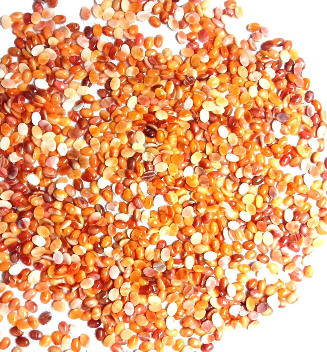 100% Natural High Quality Spiny Oyster Shell Oval Gemstone Cabochon 3