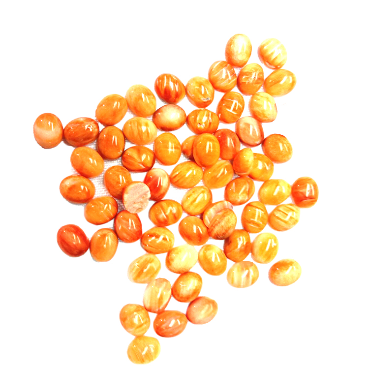 Looduslik oranž kalliskivi lahtised helmed kalliskivist oga austri Cabochoni torni kujuline kest 14