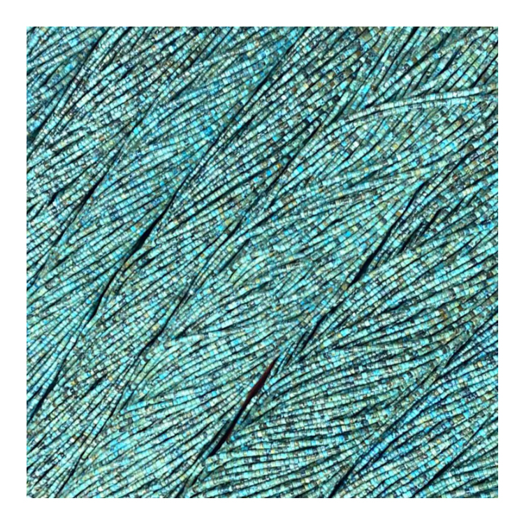 Heishi Rondelle មានរាងដូចព្រះបាទ Heishi Rondelle មានរាងដូចមើមធម្មជាតិត្បូងពេជ្រដើមត្បូងពេជ្រខាមសឺររលុង 16 អ៊ីញ 18