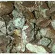 ZH GEMS | Hágæða grænblár hálf gimsteinar viðskipti 5