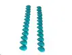 លោក | ZH GEMS 5