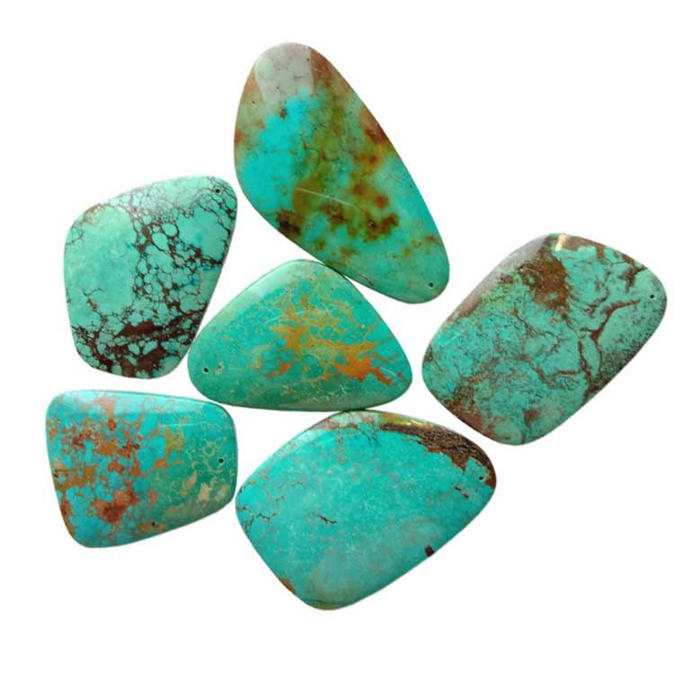 Facted Shaprli turkoni arizona firusi 15