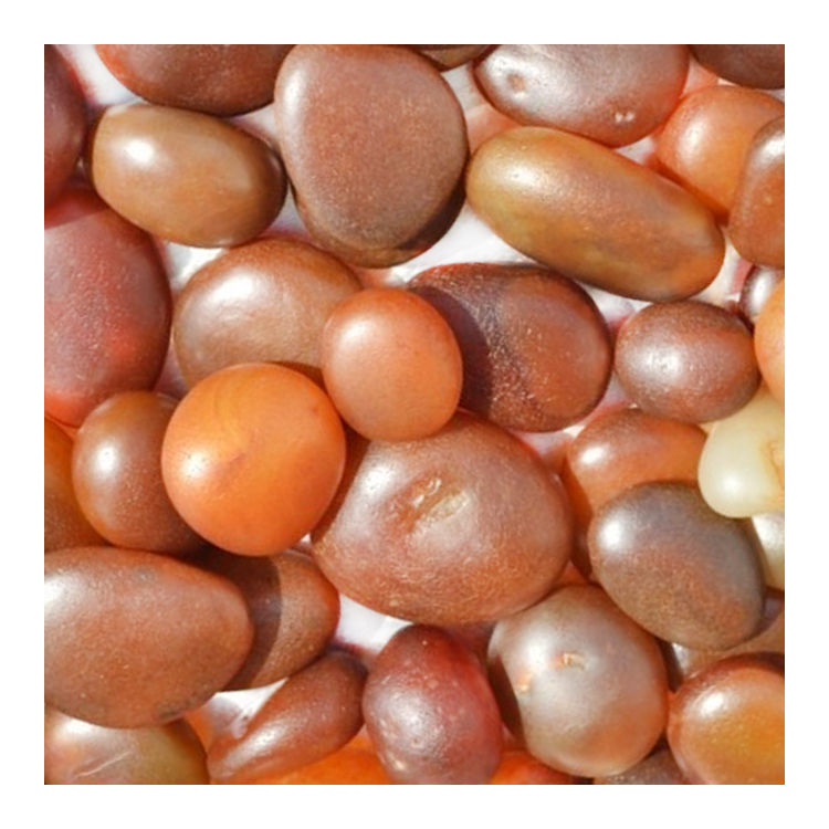 Perlas sueltas de piedras preciosas de jade verde oscuro 100% naturales para la fabricación de joyas 14