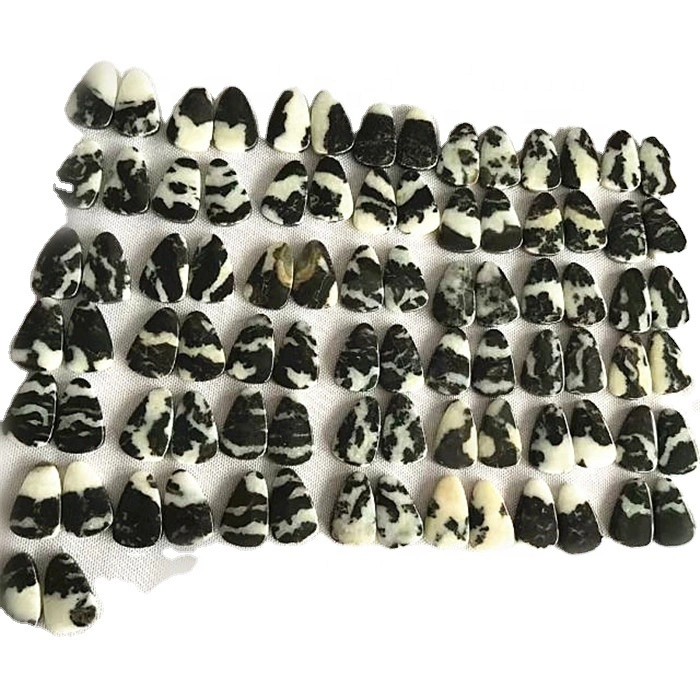 Nasangkeun Zebra Batu Zebra ZingBa Cabhon Catchon Cocog Maling Top 1