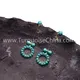 ZH قیمتي | کامل کوچني فیروزي غوږوالۍ عرضه 2