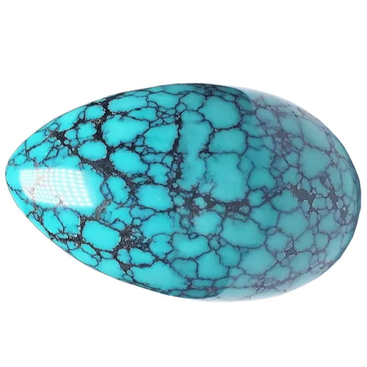 sili moni lopa turquoise sapalai siiatoa | ZH maa taua 2