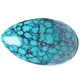 sili moni lopa turquoise sapalai siiatoa | ZH maa taua 2
