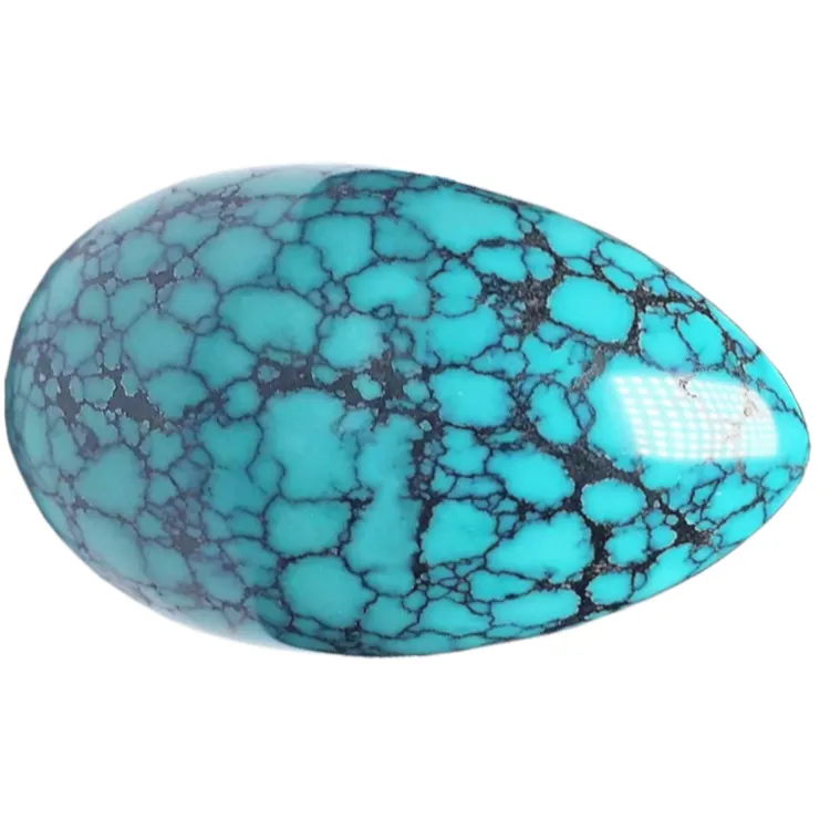 sili moni lopa turquoise sapalai siiatoa | ZH maa taua 4