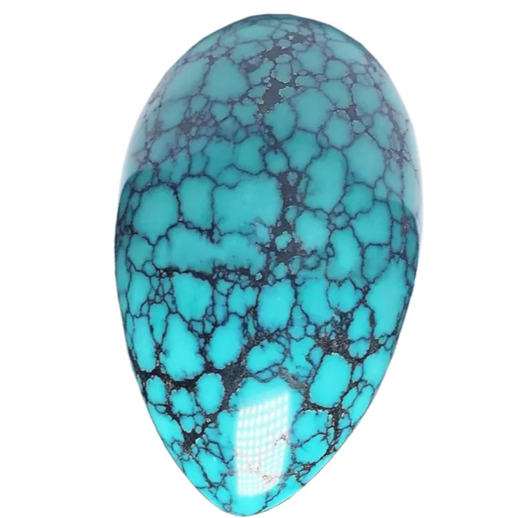 sili moni lopa turquoise sapalai siiatoa | ZH maa taua 3