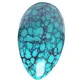 sili moni lopa turquoise sapalai siiatoa | ZH maa taua 3