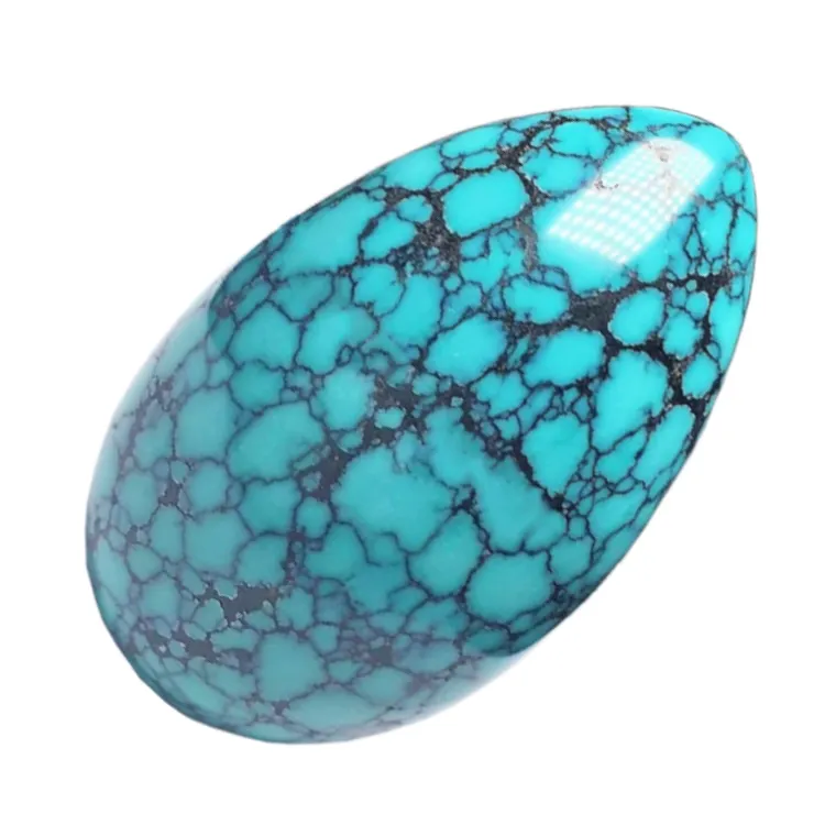 sili moni lopa turquoise sapalai siiatoa | ZH maa taua 5