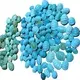 turquoise moni i Tau Siisii ​​| ZH maa taua 5