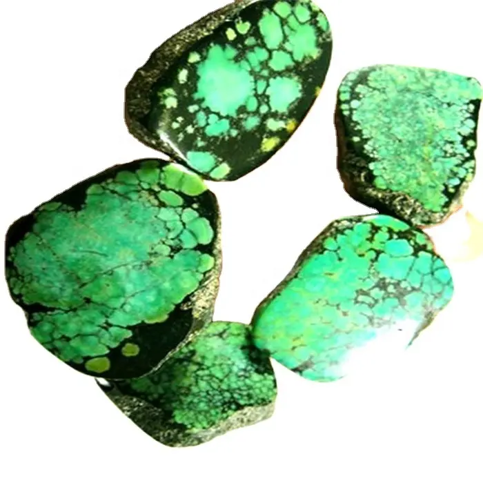 ZH ma'a | fa'ameamea atoatoa lopa turquoise moni 1