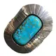 Tloaelo ea 'nete ea turquoise mehele phepelo Manufacturer | Matlotlo a ZH 1