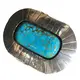 Tloaelo ea 'nete ea turquoise mehele phepelo Manufacturer | Matlotlo a ZH 2