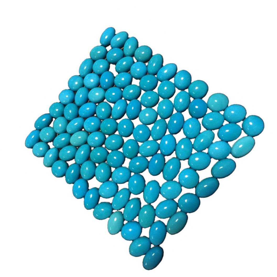 ma'a ma'a e fai ai sapalai i tau si'osi'omaga | ZH maa taua 6