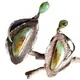 ZH Gems turquoise jewelry earrings supplier for jewelry supplier 2