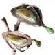 ZH Gems turquoise jewelry earrings supplier for jewelry supplier 3