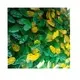 perfect gem carvings supply for decoration 3