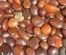 ZH Gems gemstone website business for earings 5