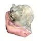 ZH Gems excellent gem carving supplier for decoration 3