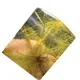 excellent gem quality turquoise cabochons professional supplier for necklace 1