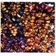 ZH Gems great gemstone bracelets business for jewelry store 2