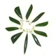 ZH Gems top rated natural gemstone pendants reliable supplier for jewelry store 2