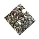 ZH Gems perfect wholesale turquoise cabochons business for necklace 3