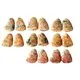 ZH Gems excellent gemstone cabochons wholesale business for bracelet 3
