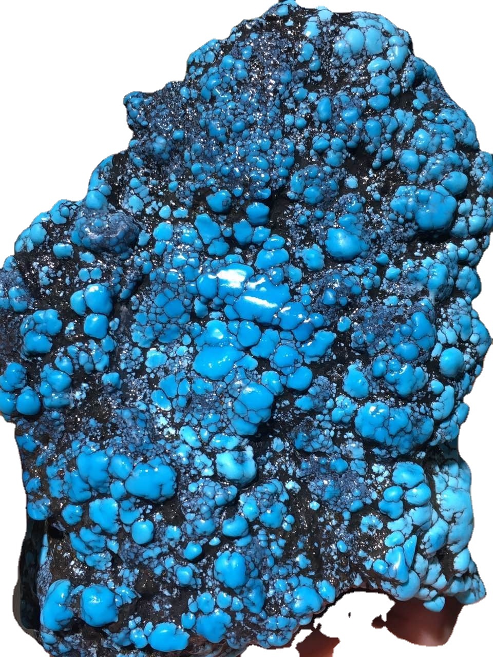 I petri turchini curtivi di u turchinu originale Truccu Fate l'ingrandinu Gioielli Semi Preziosi in Priferane Semi preziosa 35