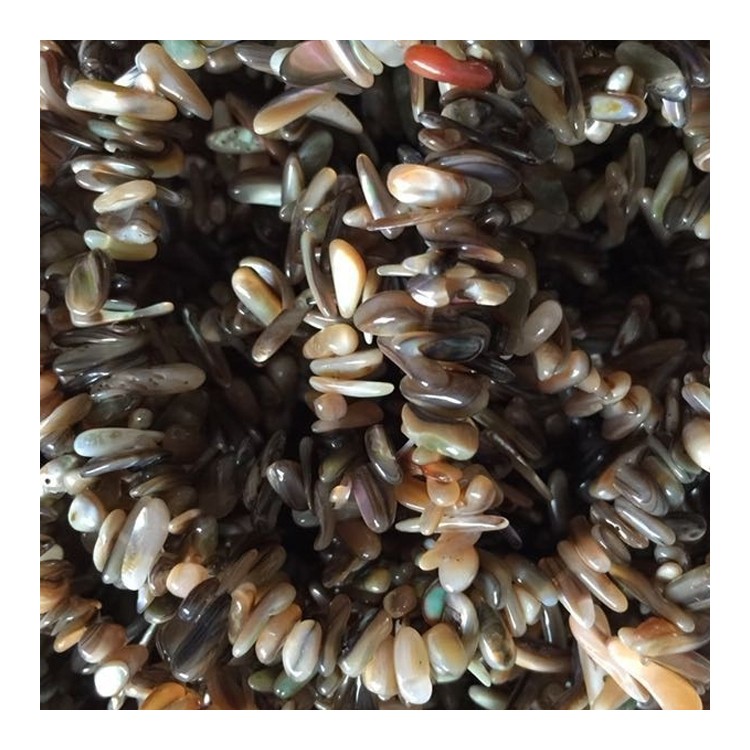 Cuentas de chips de conus shell (2- 3 mm, 24 pulgadas de hebra) 30