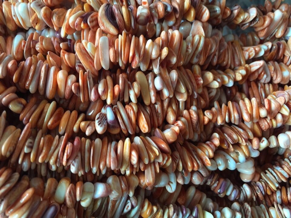 Cuentas de chips de conus shell (2- 3 mm, 24 pulgadas de hebra) 34