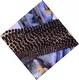 ZH Gems best gemstone beads manufacturers business for ring 3