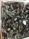 ZH Gems natural gemstones beads wholesale reliable supplier for necklace 2