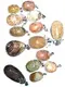 ZH Gems pendant jewelry supply for jewelry store1 1