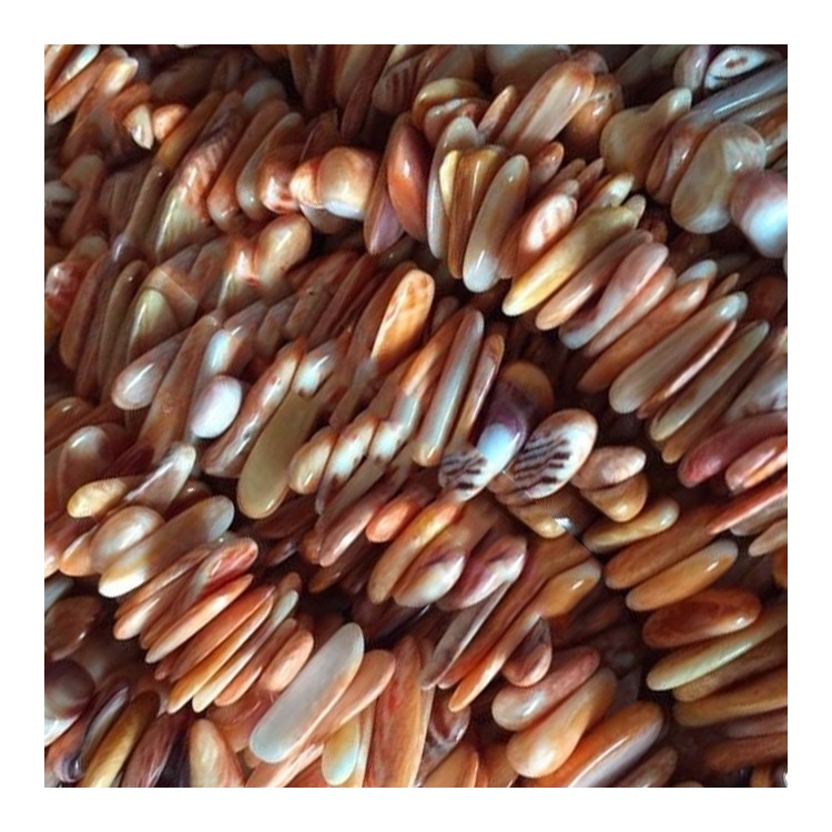 Продаж оболонки бісером струнних каменів 1 рядок нерегулярно форми змішаних оболонок 7