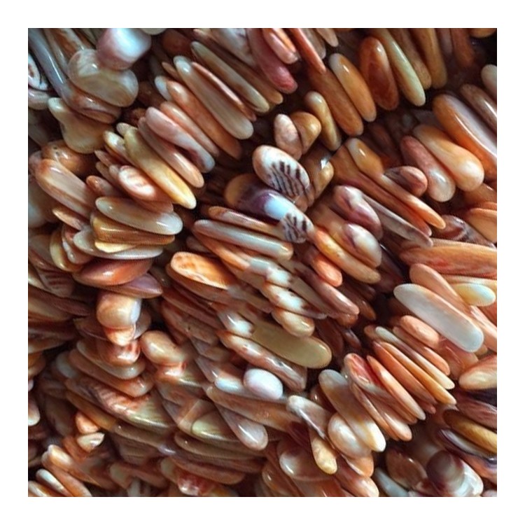 Venta Shell Beads Strings Piedras 1 cadena de cuentas de cáscara mixta en forma irregular 7