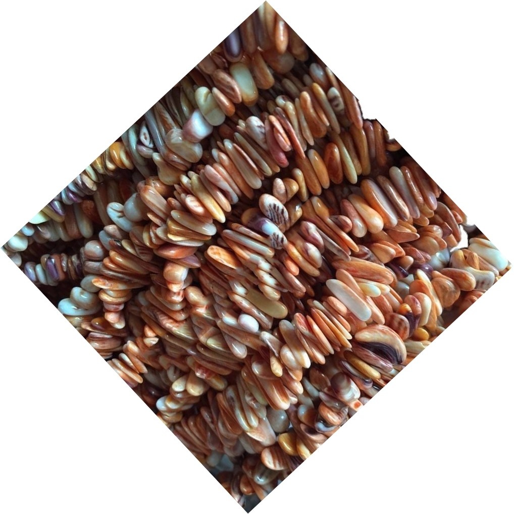 Продаж оболонки бісером струнних каменів 1 рядок нерегулярно форми змішаних оболонок 9