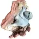 ZH Gems gem carvings professional supplier for decoration 2