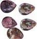 top rated natural gemstone cabochons business for ring1 2