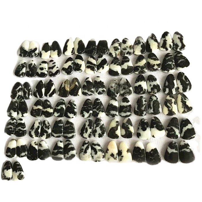 Halittar dabi'ar dabi'ar dawakai Zebra Zebra 32