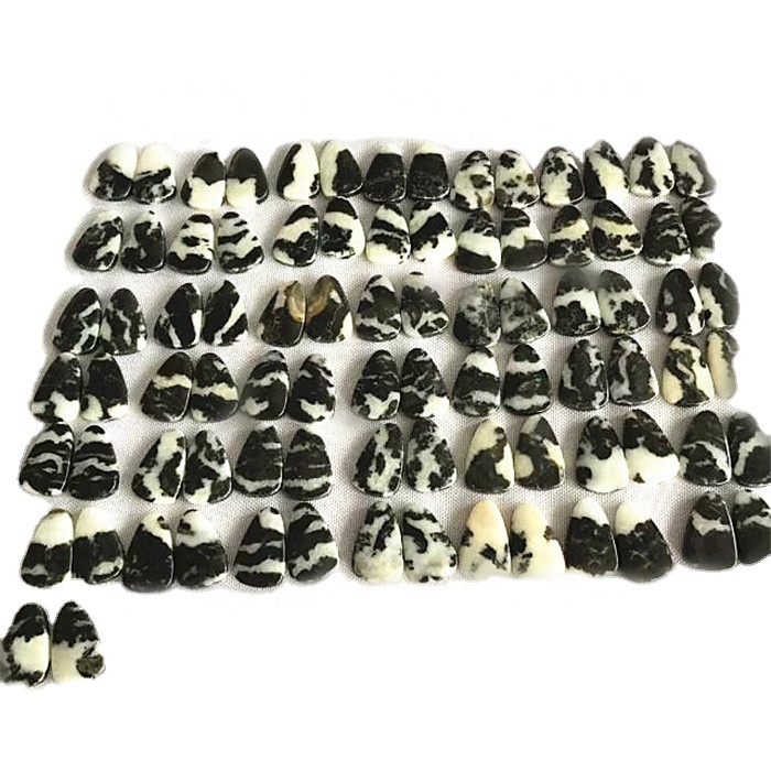 Halittar dabi'ar dabi'ar dawakai Zebra Zebra 34